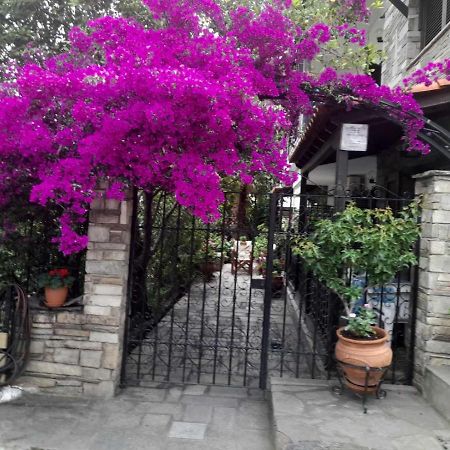 Papatzikos Traditional Guesthouse Неос-Мармарас Экстерьер фото